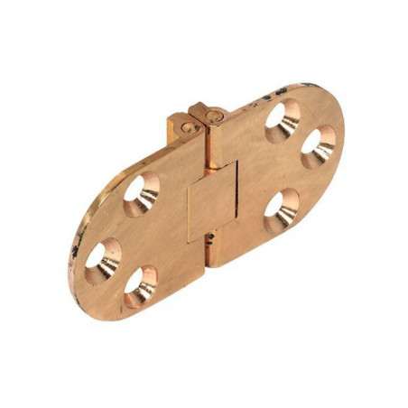 POLISHED BRASS HINGE 30x65mm
