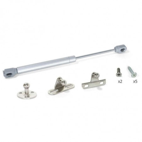 BEARING COMPASS 100 N 276 MM WITH FIXINGS