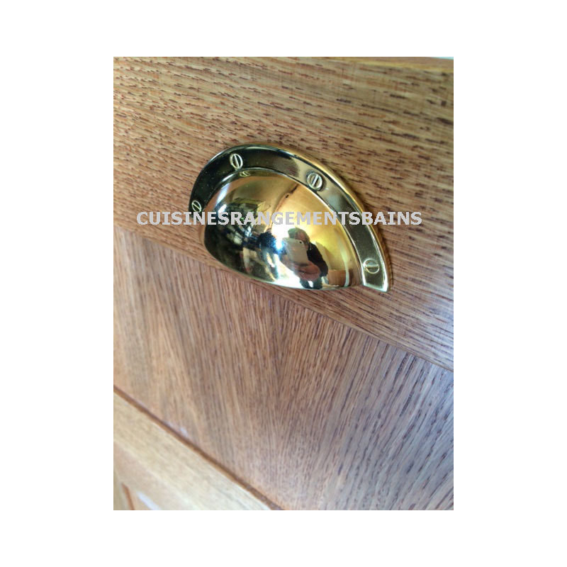 POLISHED BRASS SHELL HANDLE