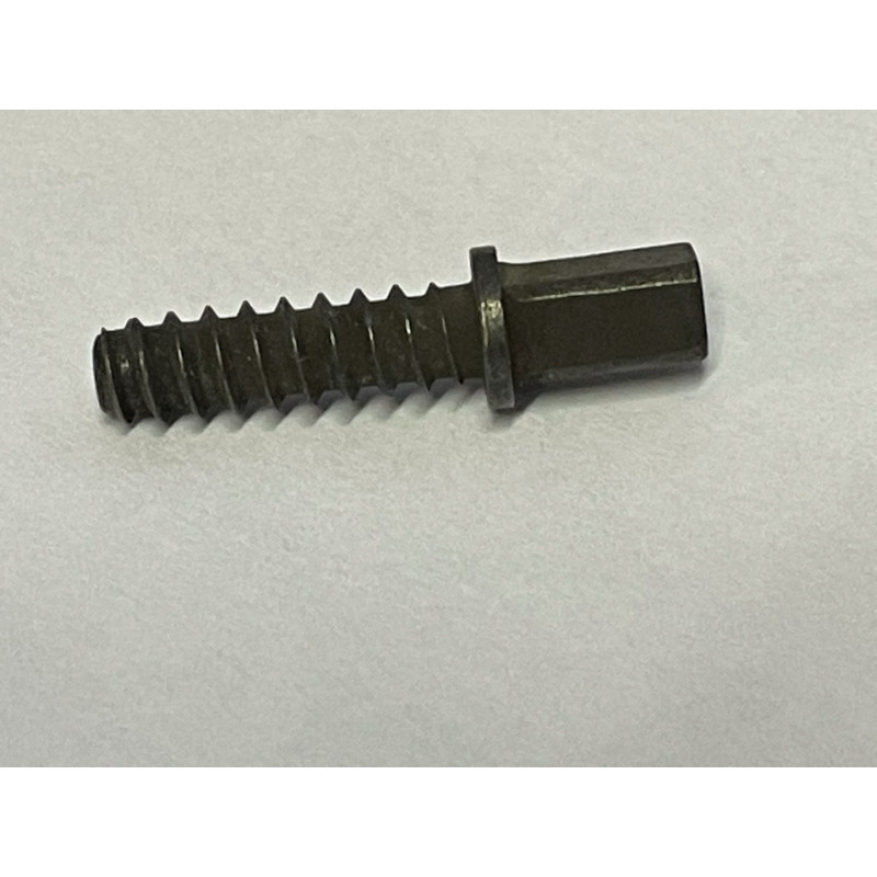 VISTAS PARA LOS EMBRES FUTUROS EMB T 57